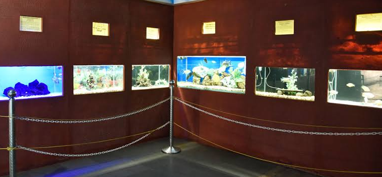 Ratnagiri Marine Fish Museum